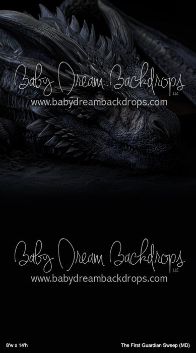 The First Guardian Sweep (MD)