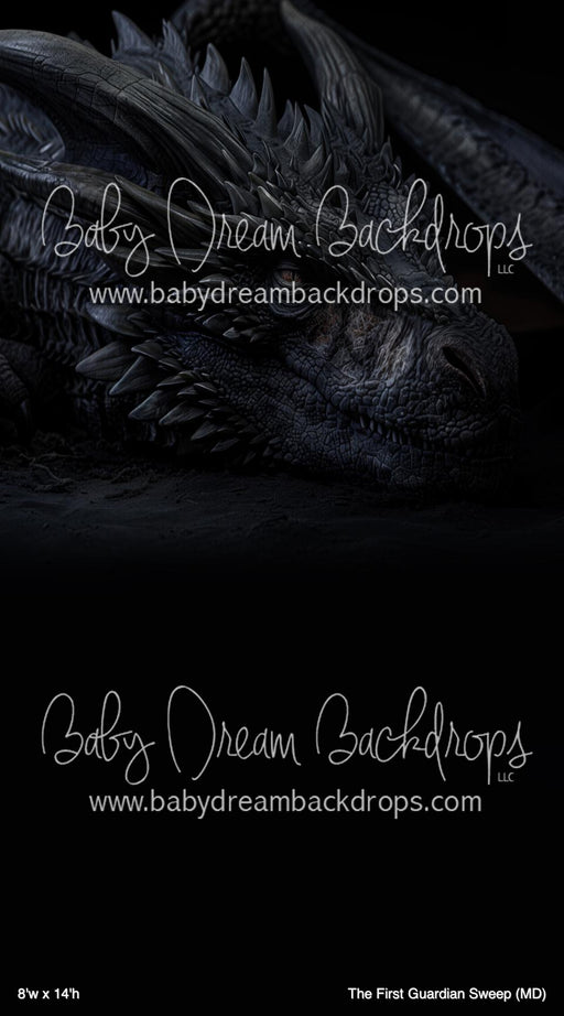 The First Guardian Sweep (MD)