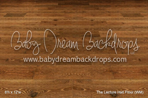 The Lecture Hall Floor (WM)