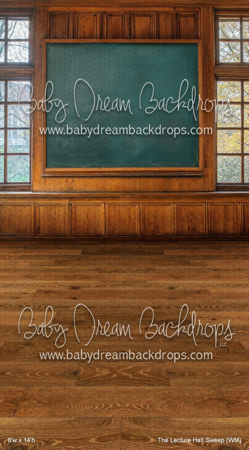 X Drop The Lecture Hall Sweep (WM)