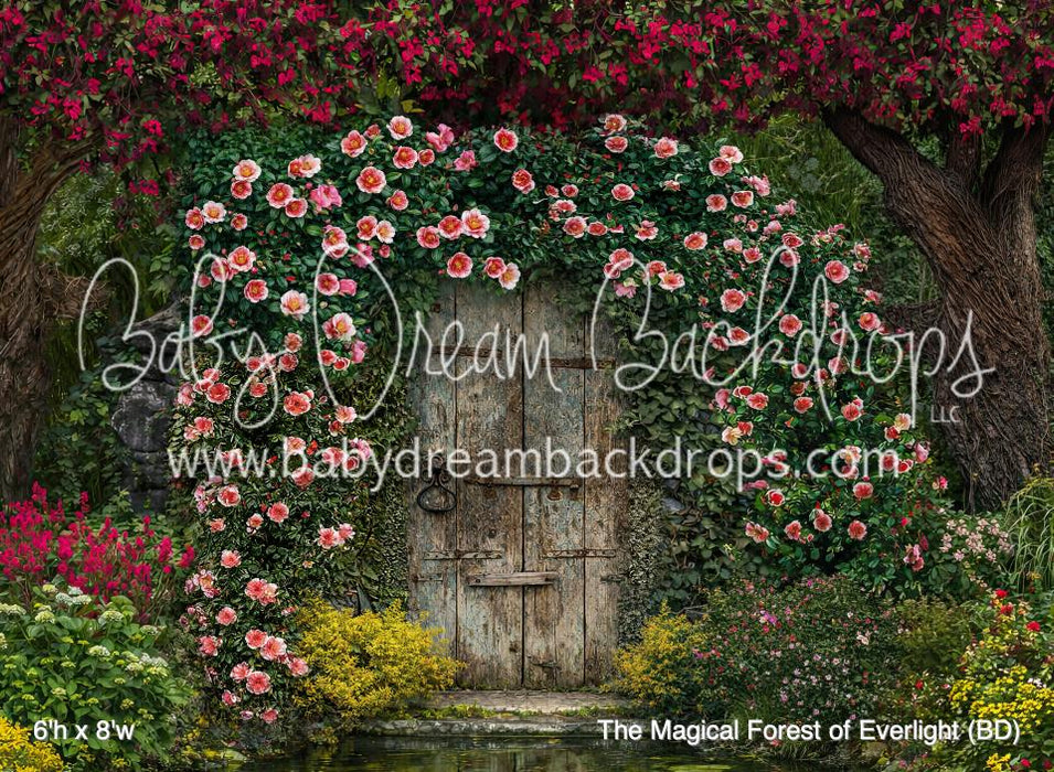 The Magical Forest of Everlight (BD)