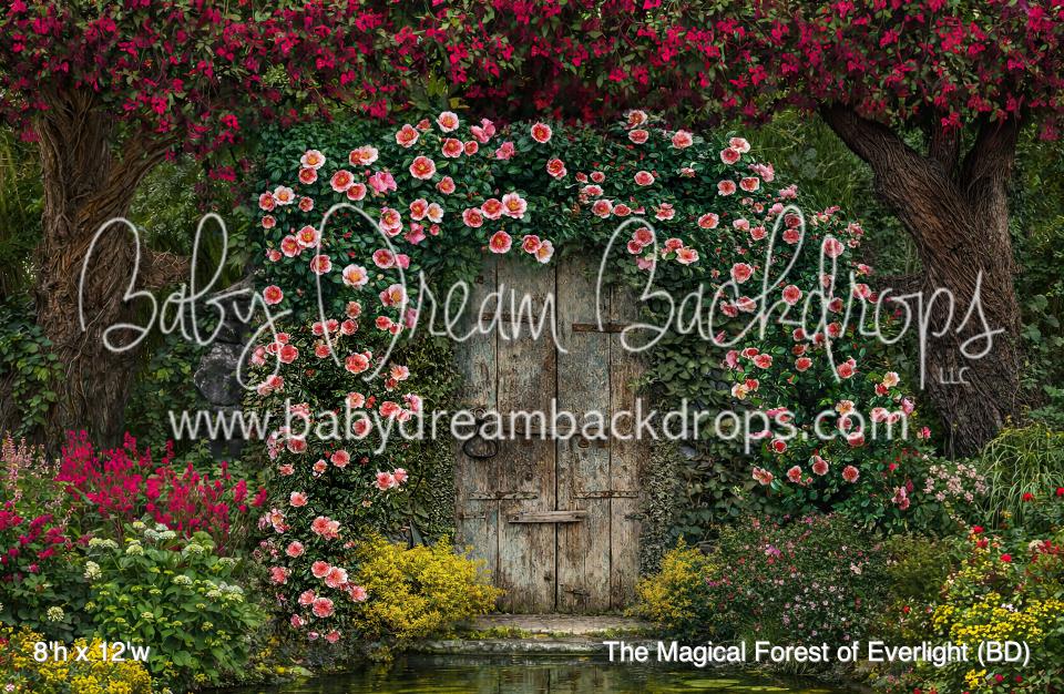 The Magical Forest of Everlight (BD)