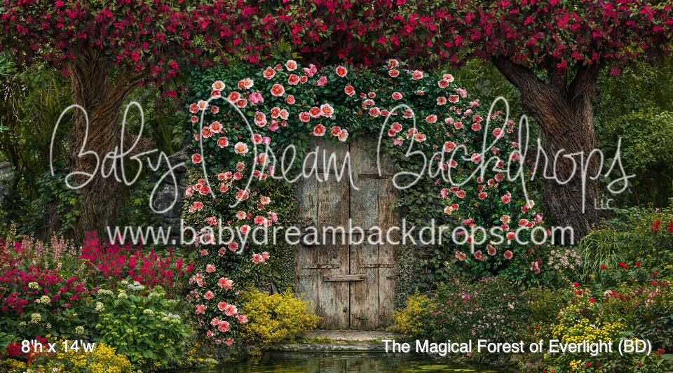 The Magical Forest of Everlight (BD)