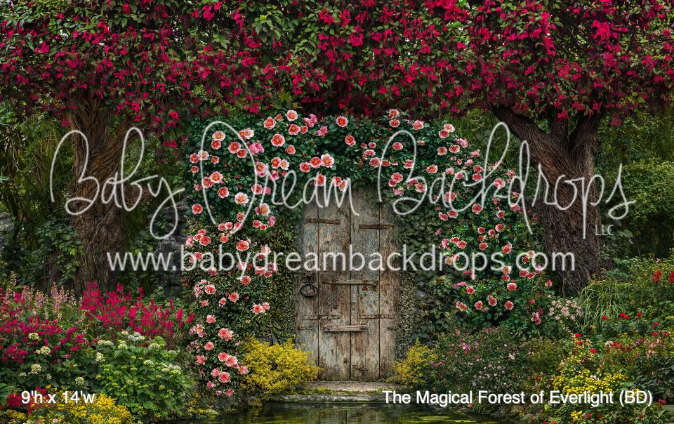 The Magical Forest of Everlight (BD)