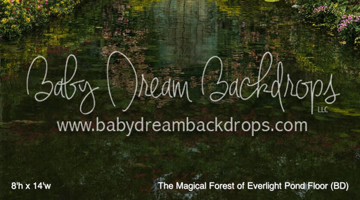 The Magical Forest of Everlight Pond Floor (BD)