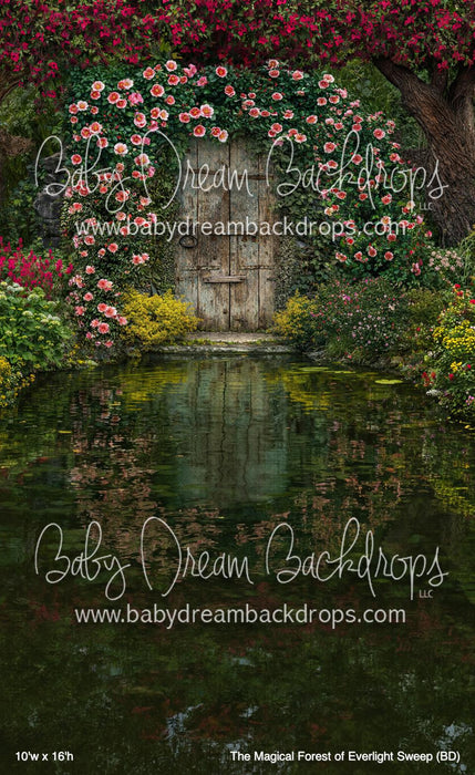 The Magical Forest of Everlight Sweep (BD)