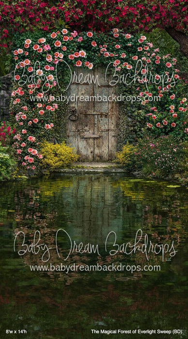 The Magical Forest of Everlight Sweep (BD)