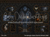 The Midnight Gallery Moonlit Window (WM)