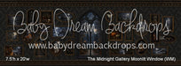 The Midnight Gallery Moonlit Window (WM)