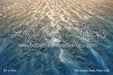 The Ocean Calls Fabric Floor (CM)