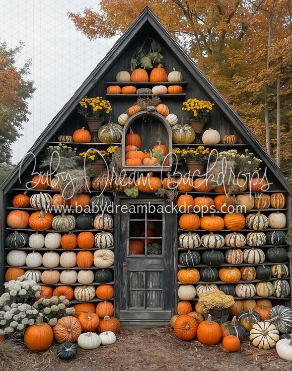 The Pumpkin Shed (MD)