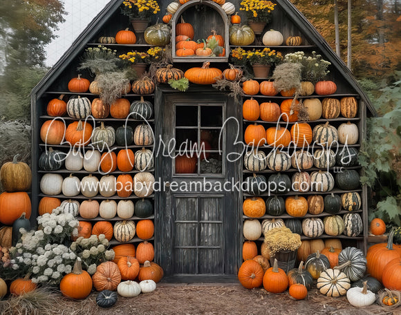 The Pumpkin Shed (horizontal) (MD)