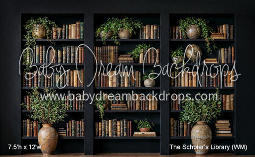 The Scholars Library (WM)