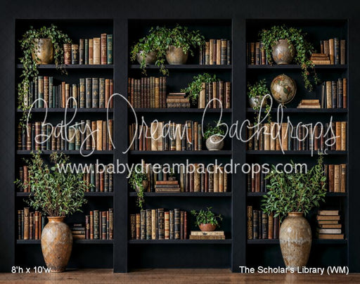 The Scholars Library (WM)