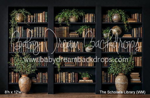 The Scholars Library (WM)