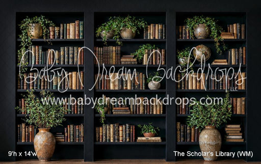 The Scholars Library (WM)