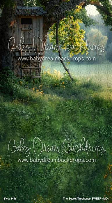 The Secret Treehouse SWEEP (MD)
