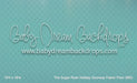 The Sugar Rush Holiday Doorway Fabric Floor (MD)