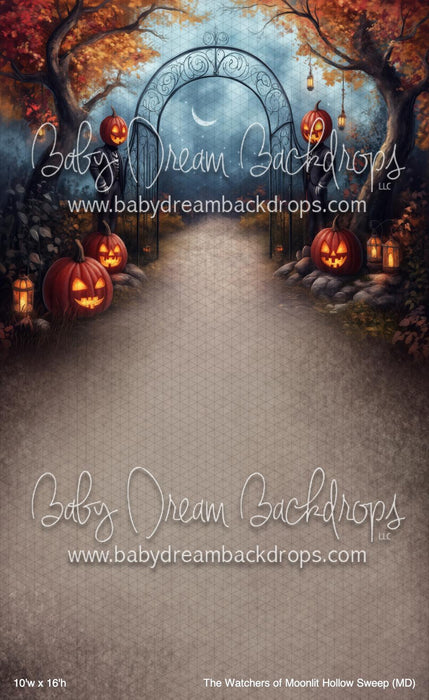 The Watchers of Moonlit Hollow Sweep (MD)