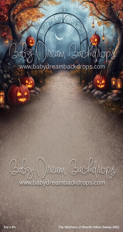 The Watchers of Moonlit Hollow Sweep (MD)