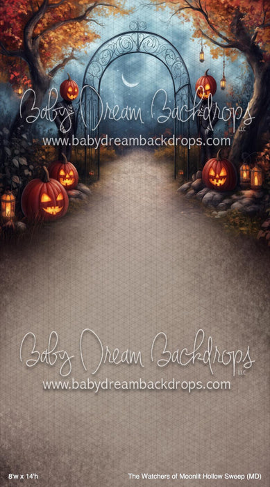 The Watchers of Moonlit Hollow Sweep (MD)