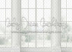 The Window Wall (MD)
