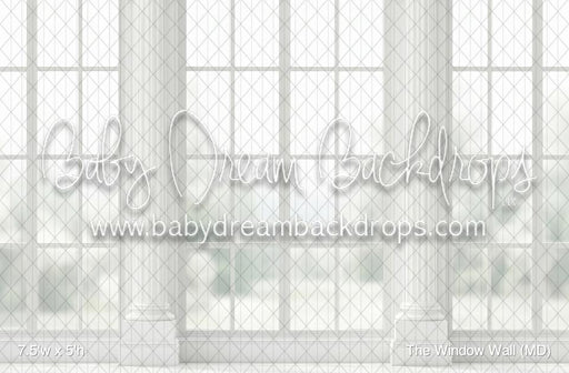 The Window Wall (MD)