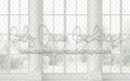 The Window Wall (MD)