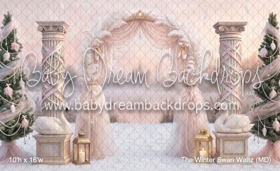 The Winter Swan Waltz (MD)