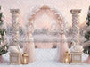 The Winter Swan Waltz (MD)