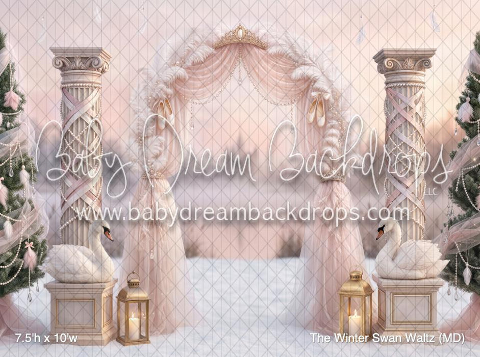The Winter Swan Waltz (MD)
