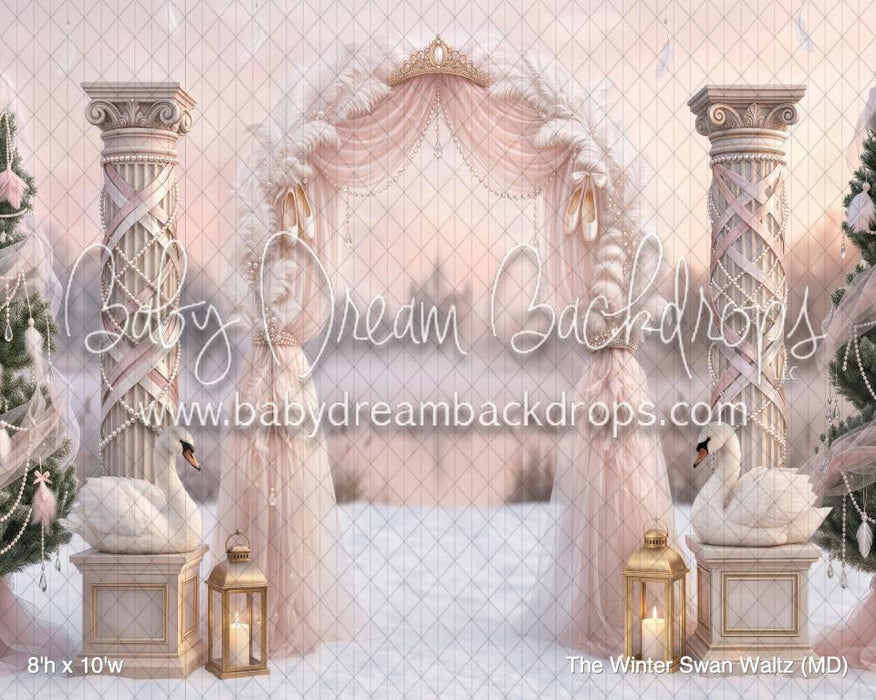The Winter Swan Waltz (MD)
