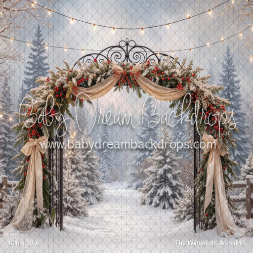 The Winterlight Arch (MI)