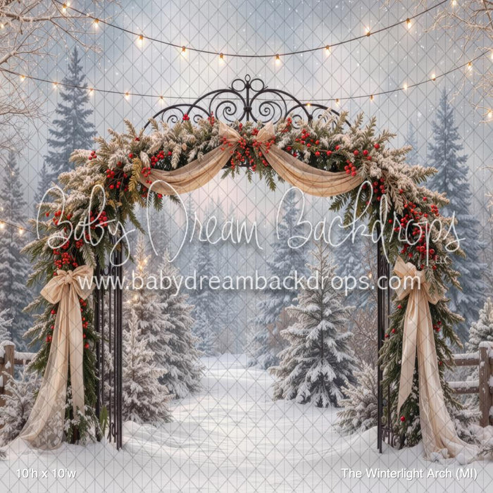 The Winterlight Arch (MI)