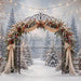 The Winterlight Arch (MI)