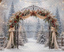The Winterlight Arch (MI)