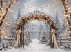 The Winterlight Arch (MI)