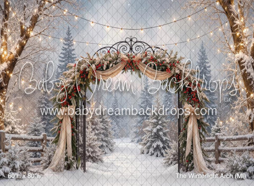 The Winterlight Arch (MI)