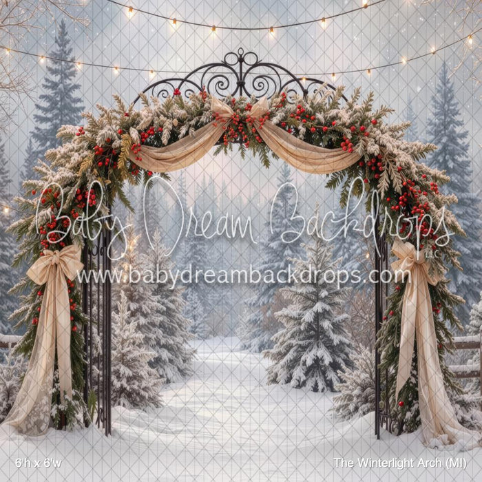 The Winterlight Arch (MI)