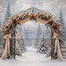 The Winterlight Arch (MI)