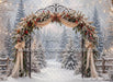 The Winterlight Arch (MI)