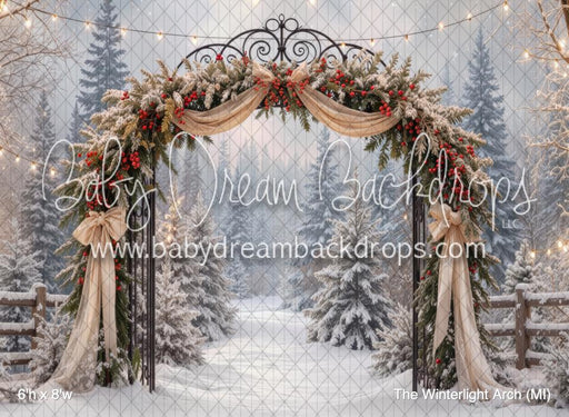 The Winterlight Arch (MI)