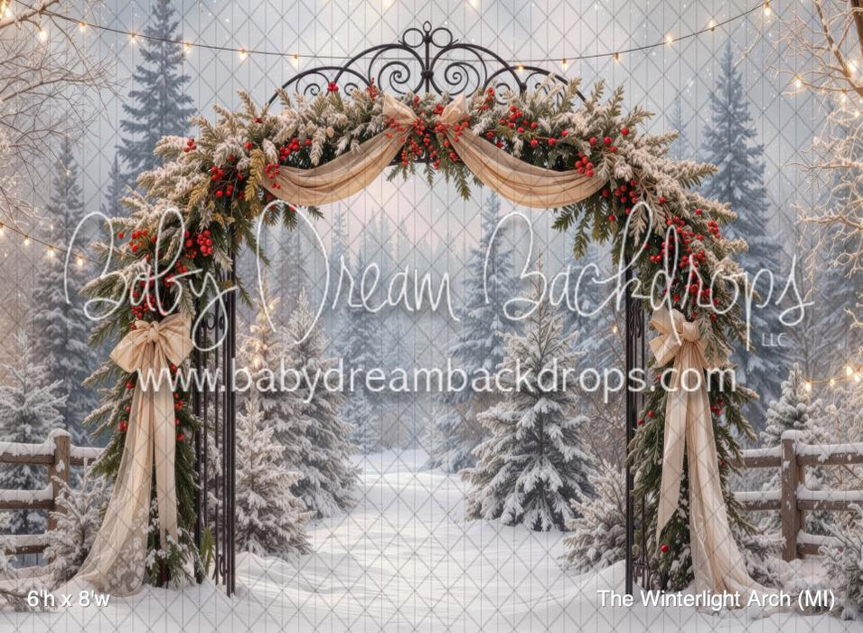 The Winterlight Arch (MI)