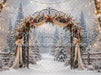 The Winterlight Arch (MI)