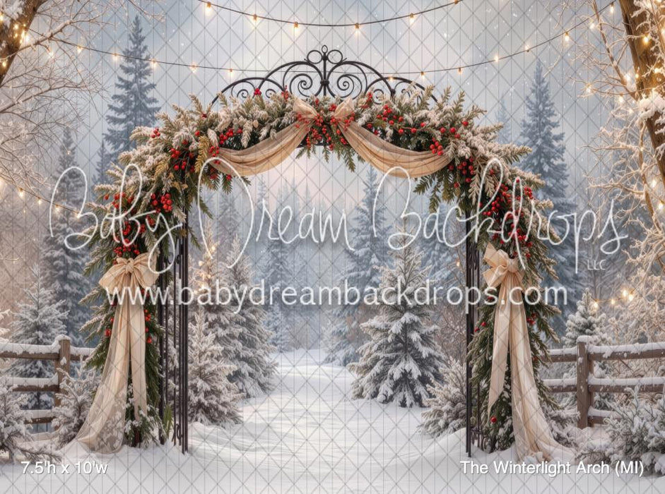 The Winterlight Arch (MI)