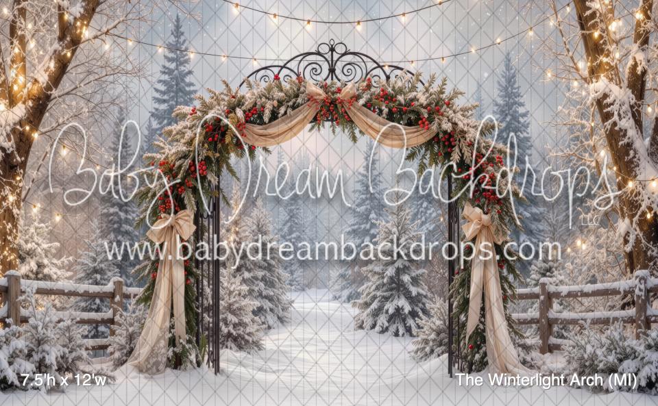 The Winterlight Arch (MI)
