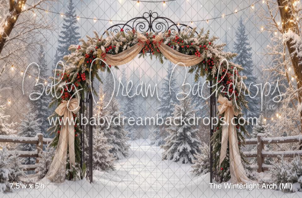 The Winterlight Arch (MI)