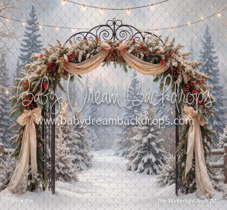 The Winterlight Arch (MI)