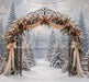 The Winterlight Arch (MI)