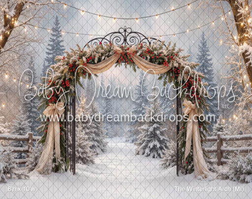 The Winterlight Arch (MI)